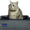 Travel Cat Litter Box, Leak-Proof Portable Litter Box, Collapsible Toilet Tray Carrier for Small Medium Cats (Medium, Light Grey)